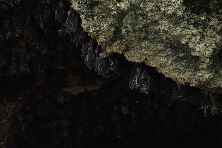 DSCF8246.jpg
