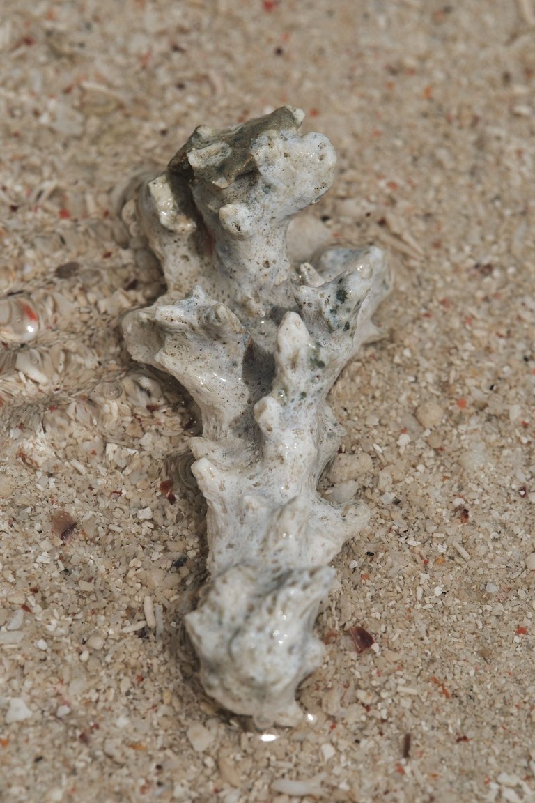 DSCF8305.jpg