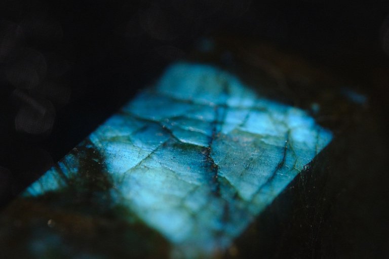 DSCF9192.jpg