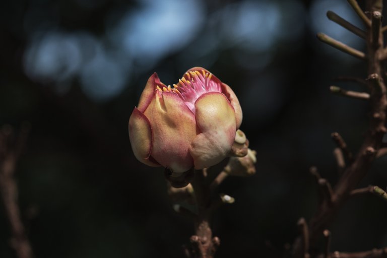 DSCF7175.jpg