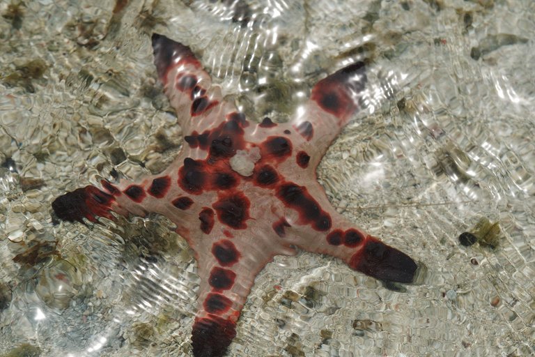 DSCF8459.jpg