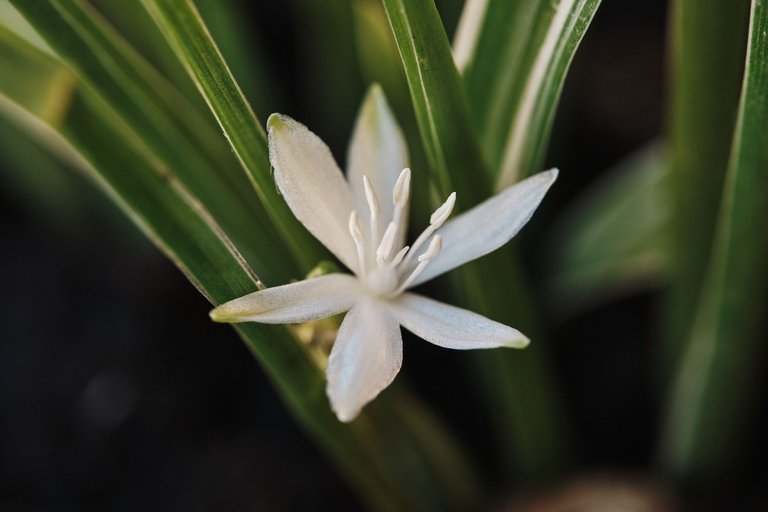 DSCF9960.jpg