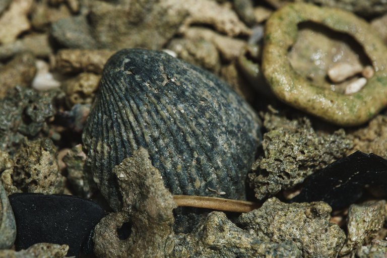 DSCF8512.jpg