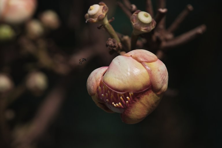 DSCF7172.jpg