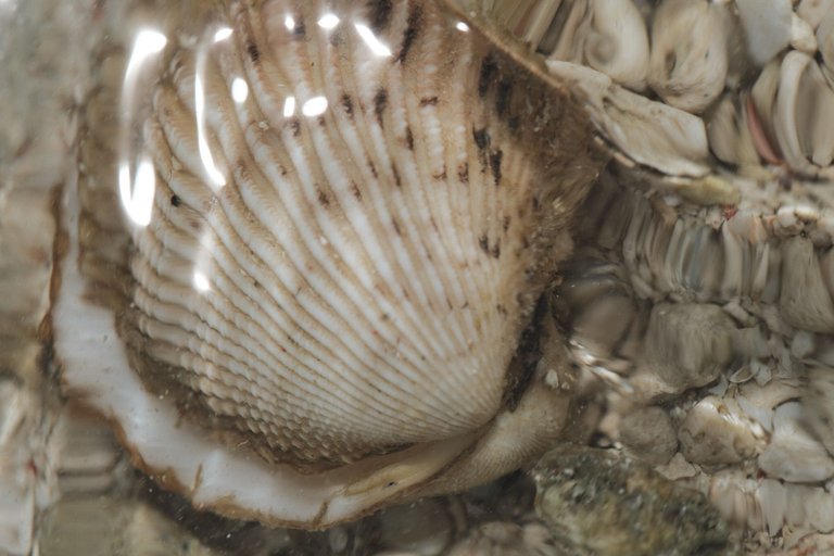DSCF8320 1.jpg
