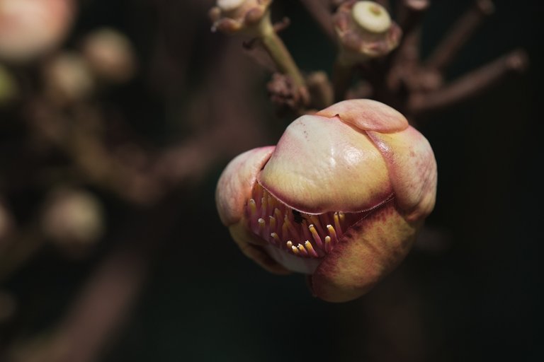 DSCF7173.jpg