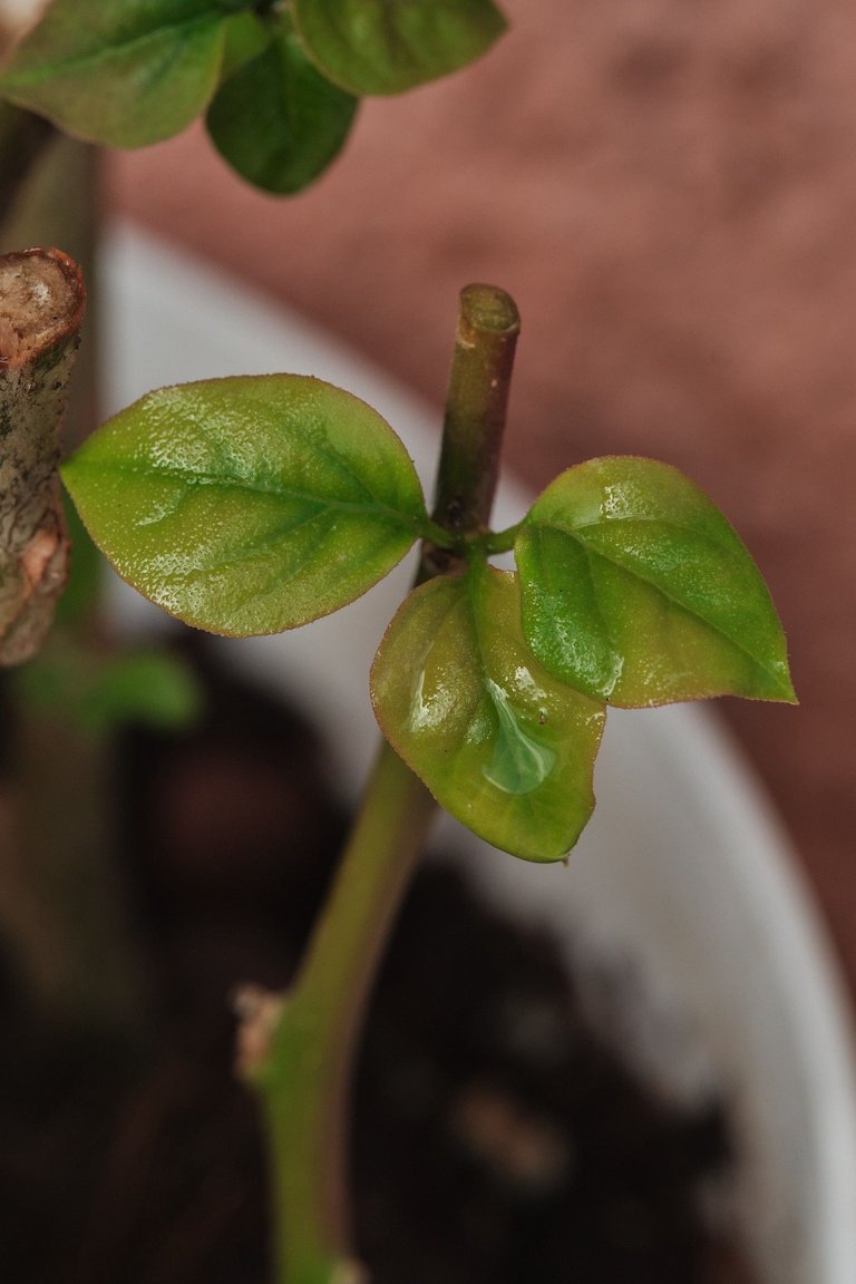 DSCF7892.jpg