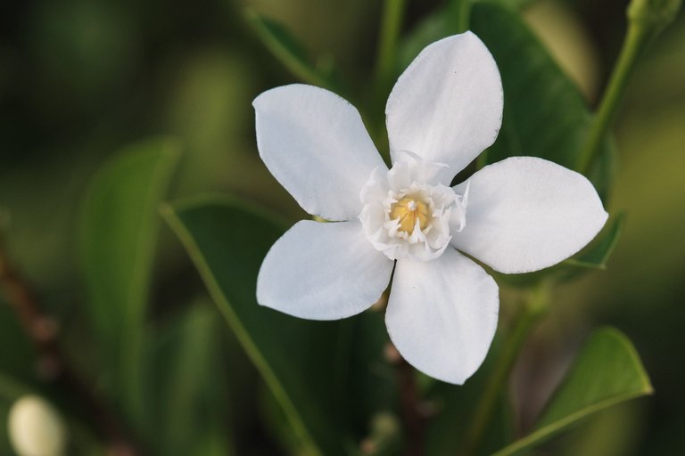 DSCF7209.jpg