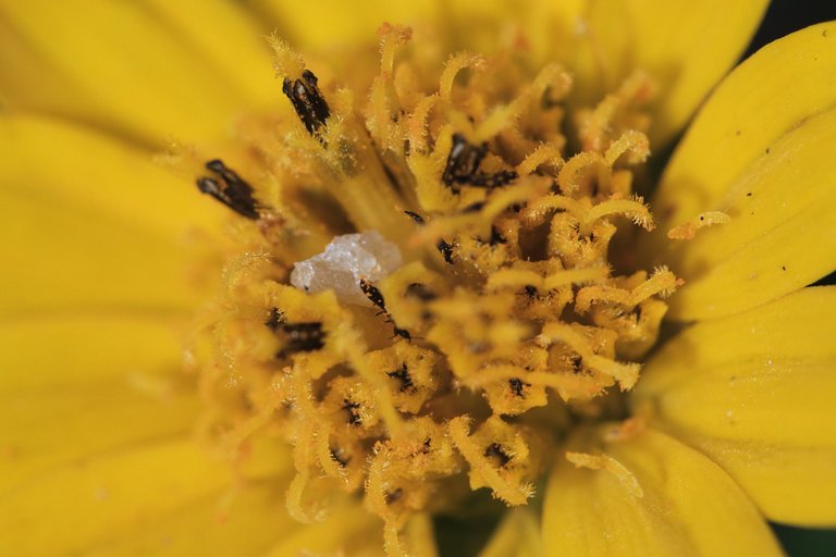 DSCF7168 1.jpg