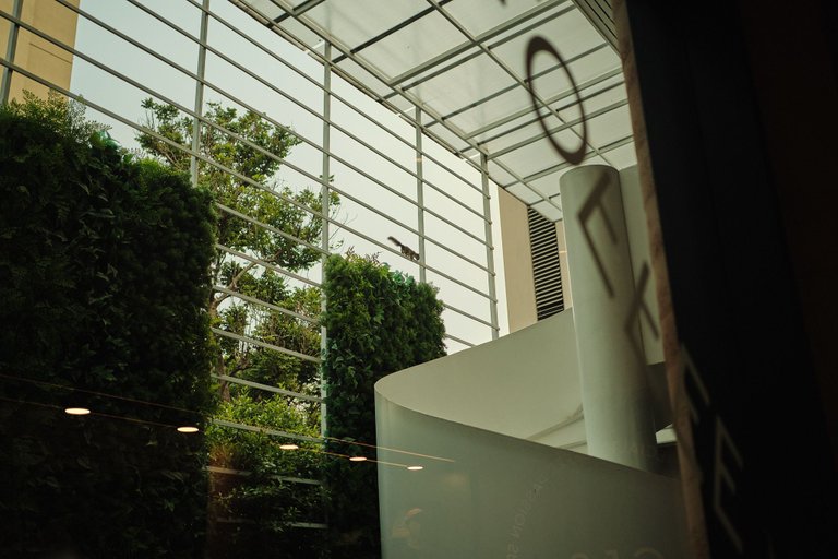 DSCF1854.jpg