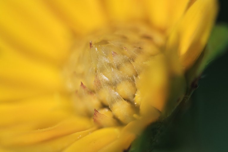 DSCF7158 1.jpg