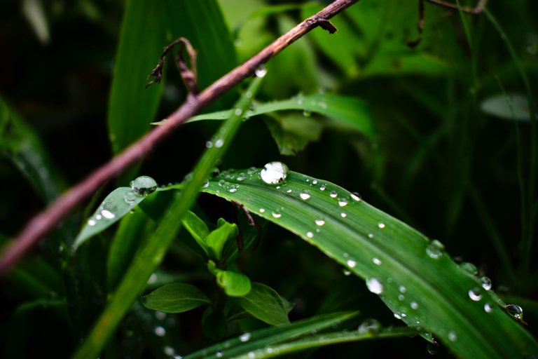 _DSC1569.jpg