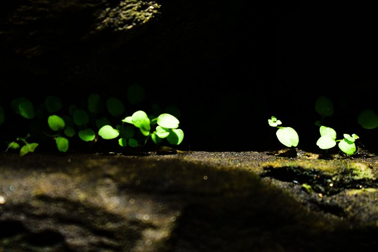 _DSC0010_2.jpg