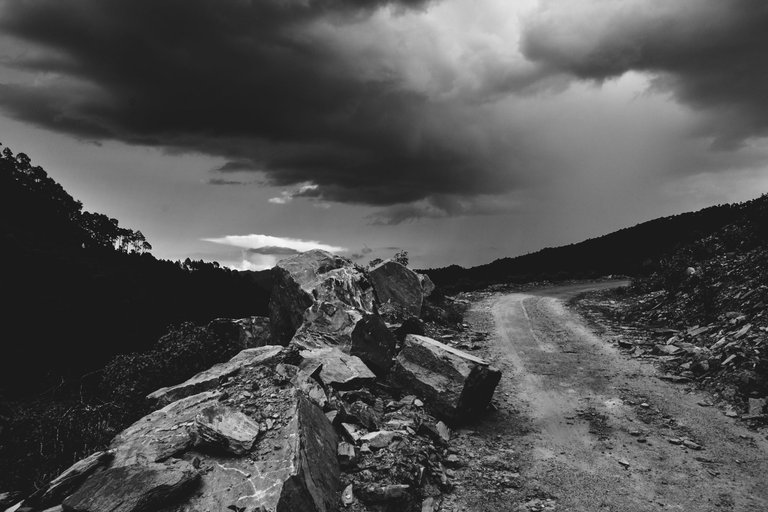 _DSC3738_1.jpg