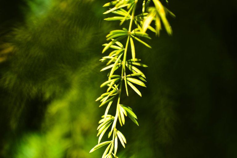 DSC_3108.jpg