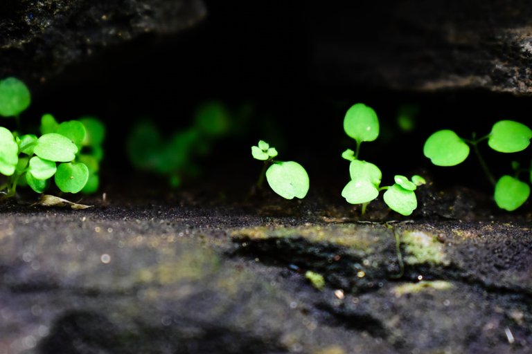 _DSC0025_2.jpg