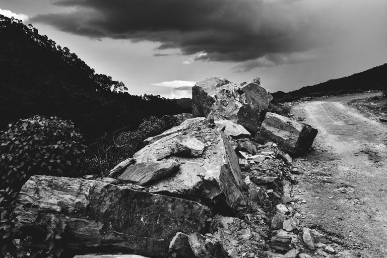 _DSC3739_1.jpg