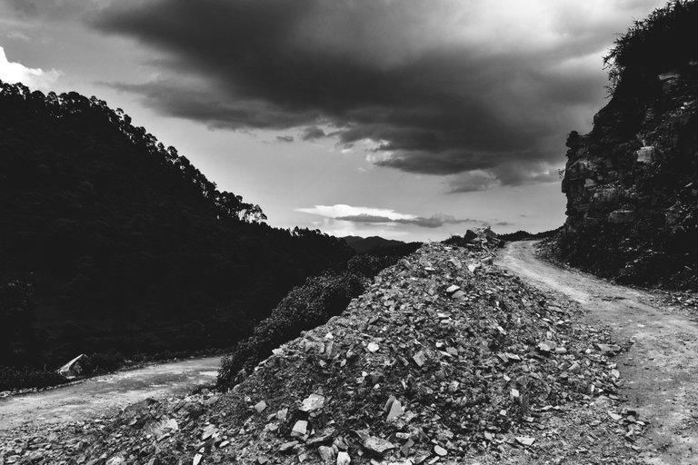 _DSC3723_1.jpg