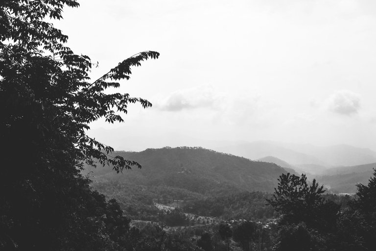 DSC_1106.jpg