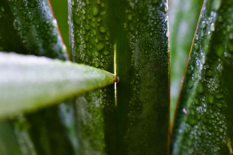 DSC_0493.jpg