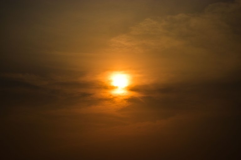 _DSC2374.jpg