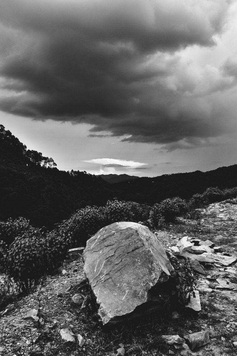 _DSC3743_1.jpg