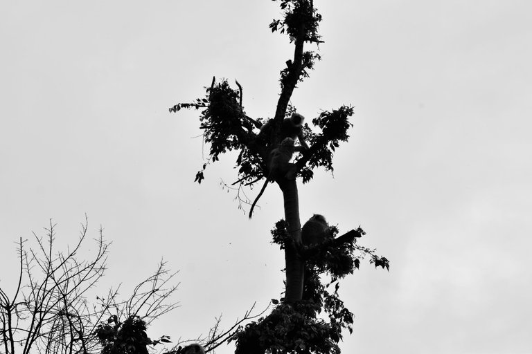 _DSC1686_1.jpg