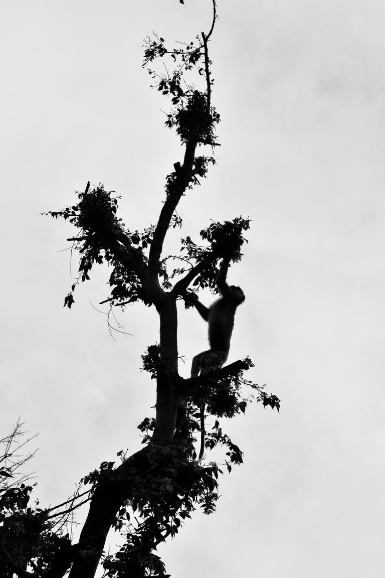 _DSC1722 (1).jpg