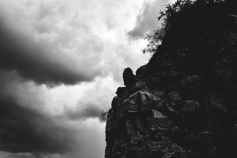 _DSC3733_1 (1).jpg