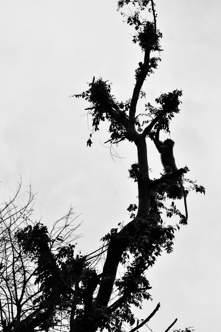 _DSC1720 (1).jpg