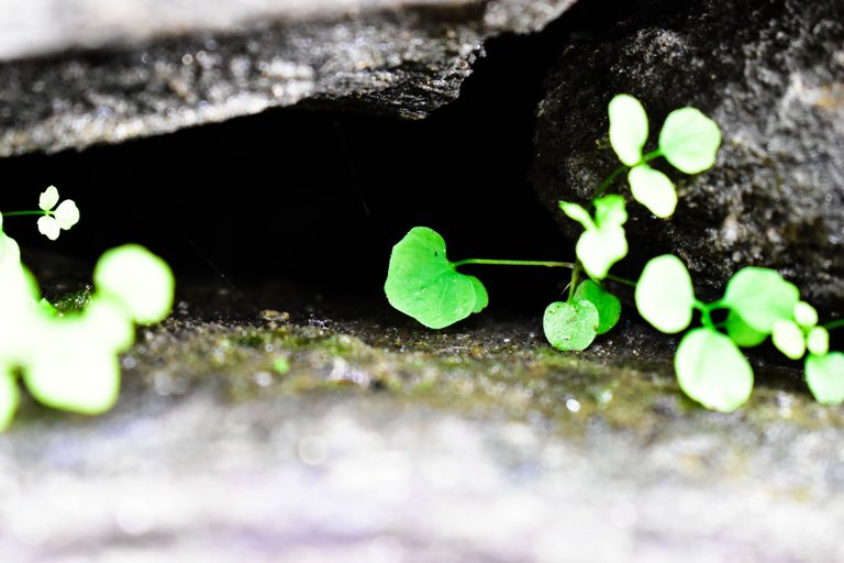 _DSC0168.jpg