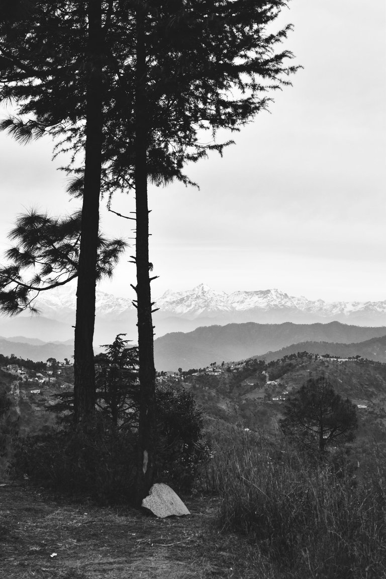 DSC_0981 (5).jpg