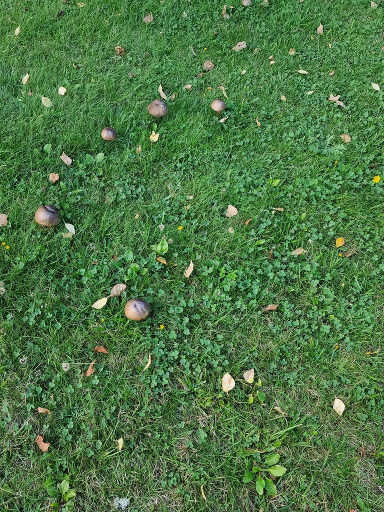 20220917_163157.jpg