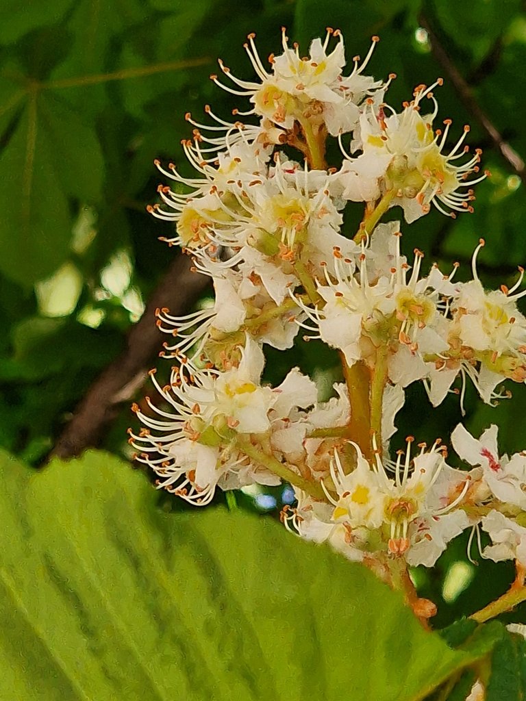 20240519_185203.jpg