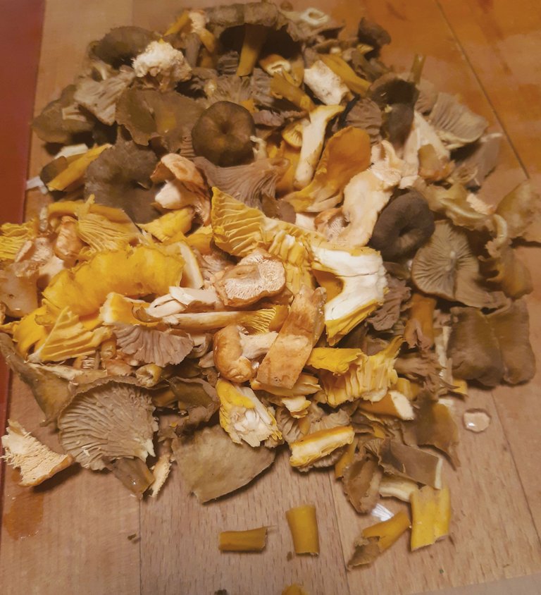 20231012_182910.jpg