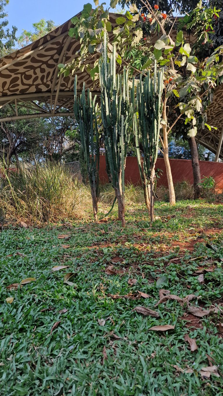 20240402_164909.jpg
