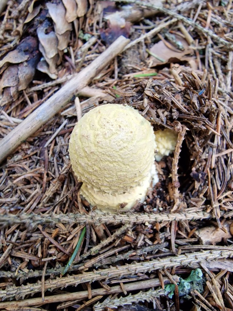 20230718_152053.jpg