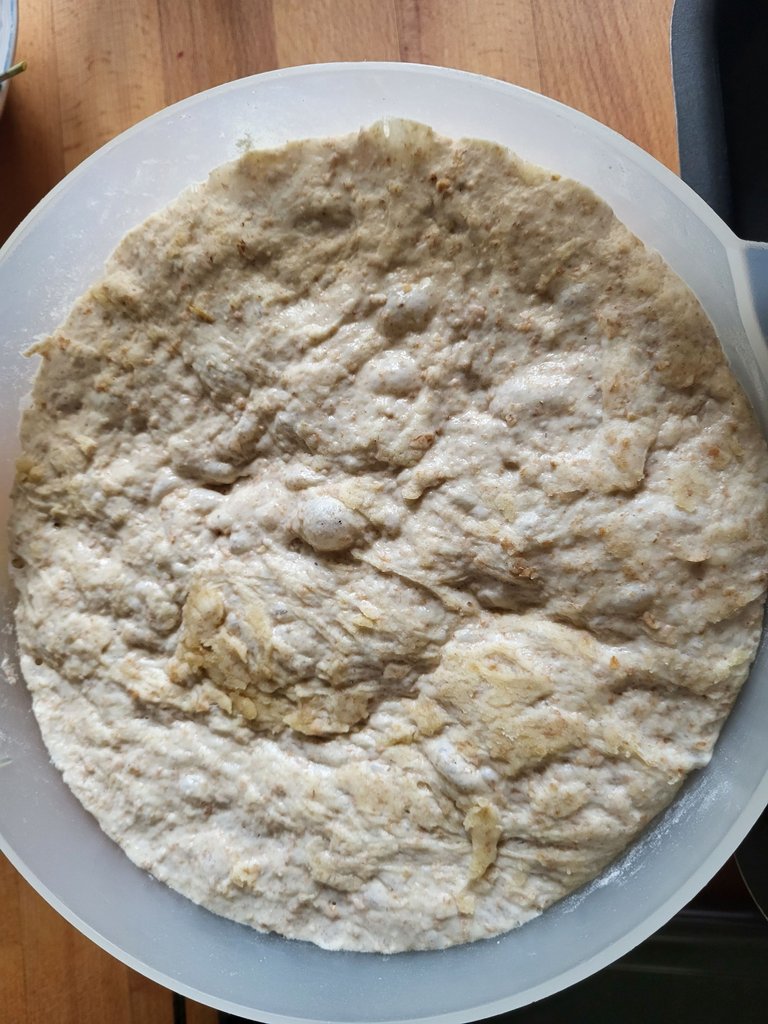 20240825_140443.jpg