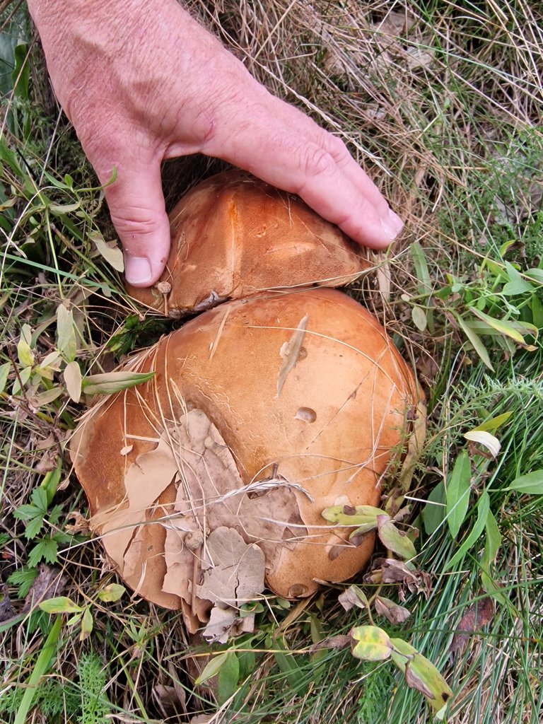 20220917_170937.jpg