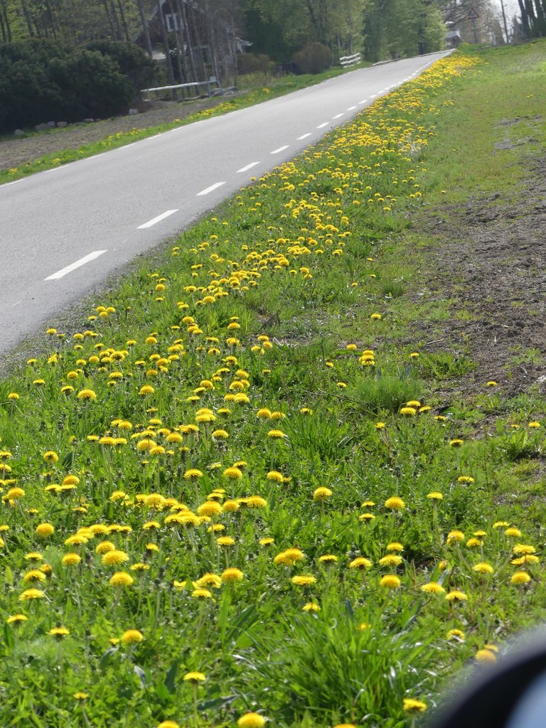 P1100544.JPG
