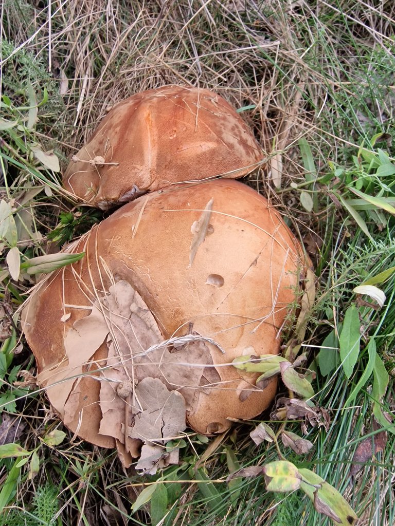 20220917_170924.jpg