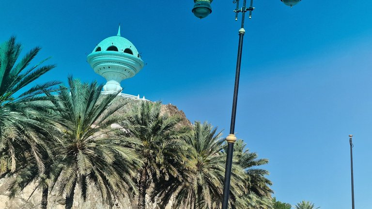 20250410_084353.jpg