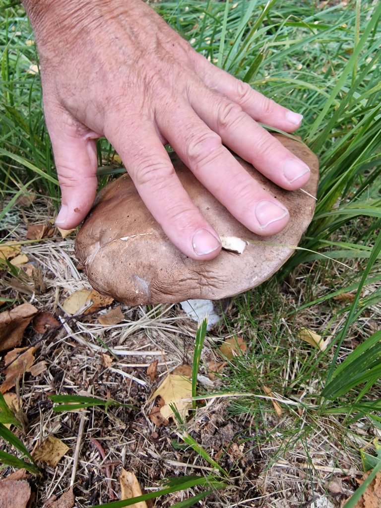20220917_165611.jpg