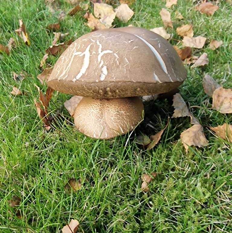 20220917_163320.jpg