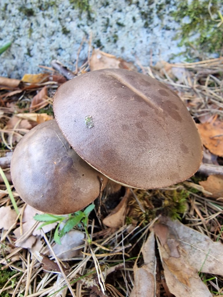 20220917_171315.jpg