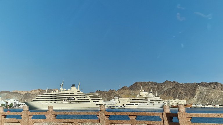 20250410_084501.jpg