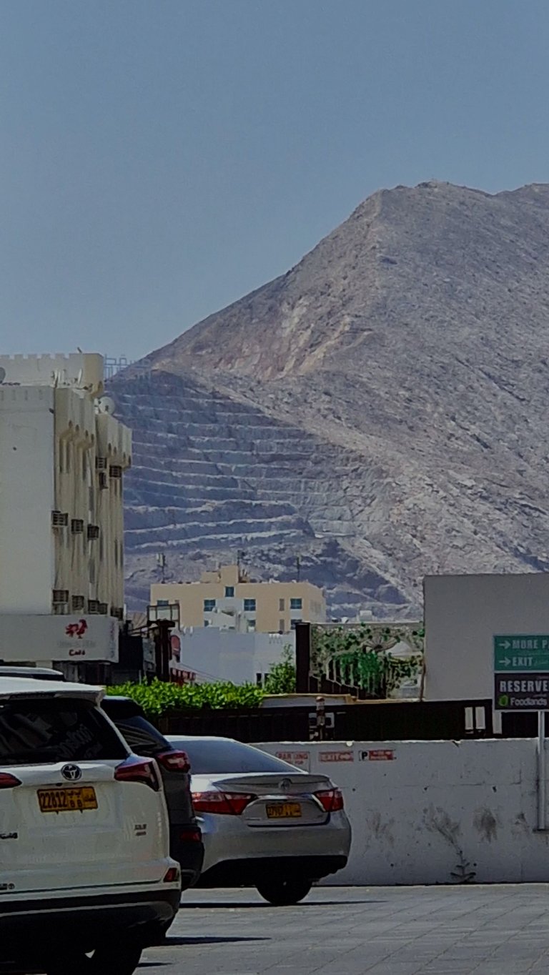 20250410_102759.jpg