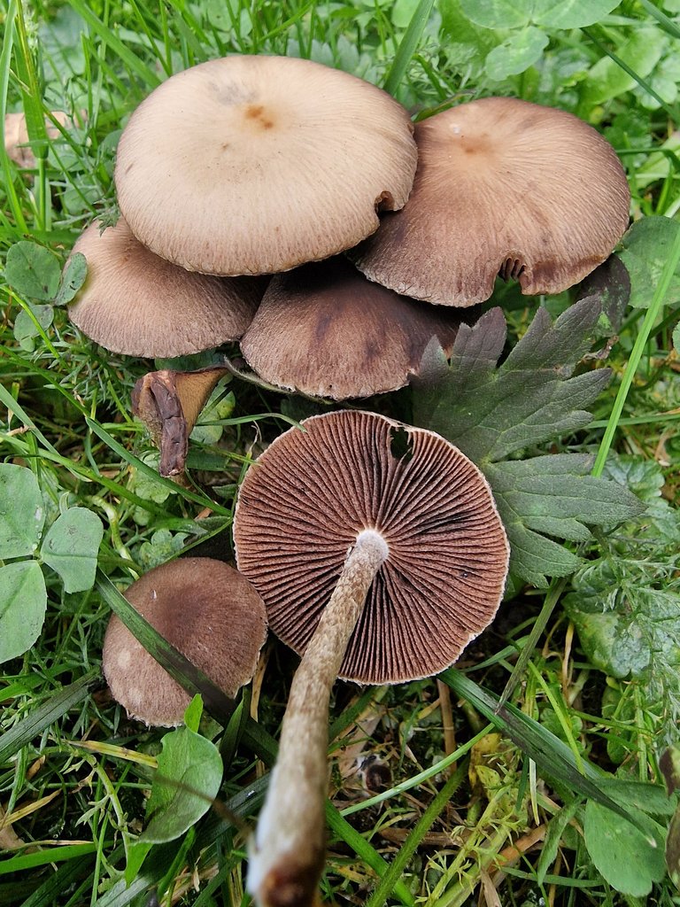 20220917_165917.jpg