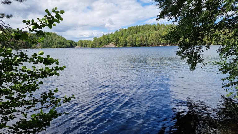 20230718_150118.jpg