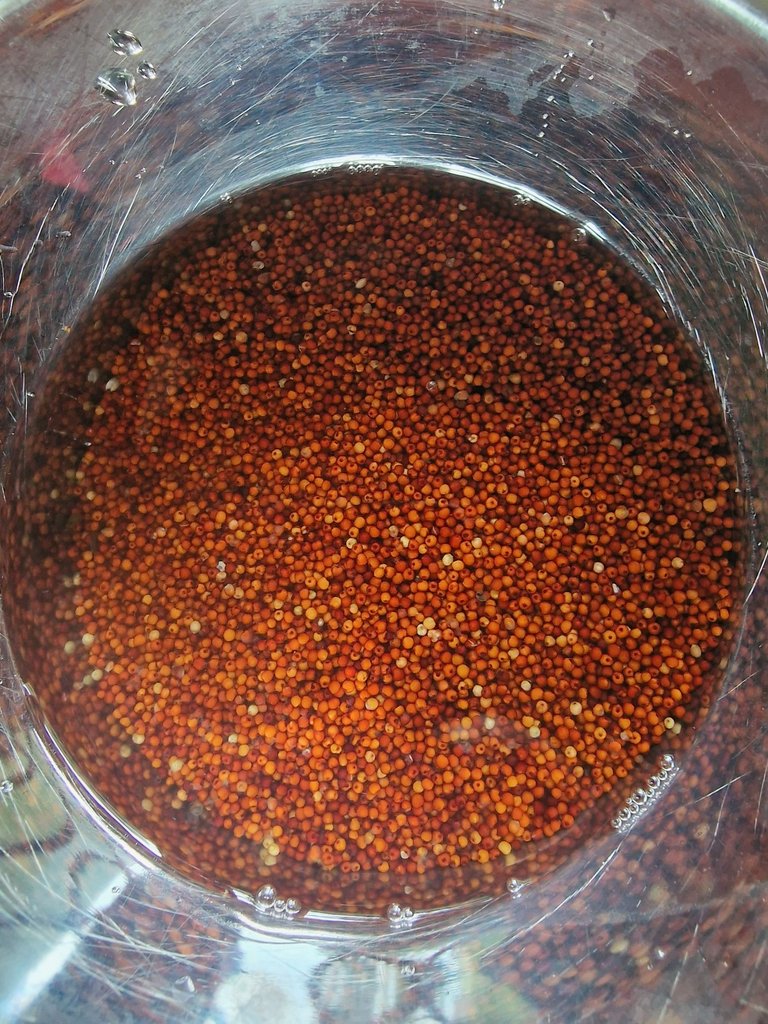 20250322_080047.jpg